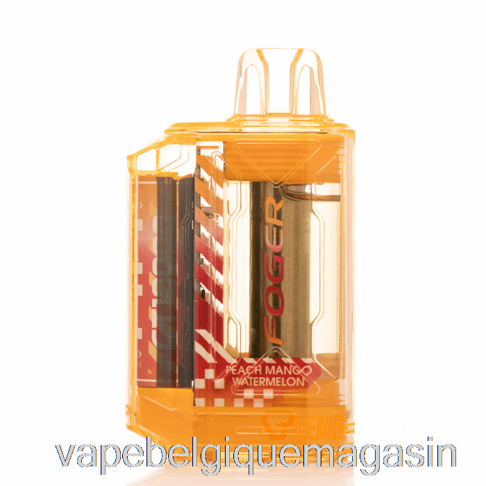 Vape Jetable Foger Ct10000 Jetable Pêche Mangue Pastèque